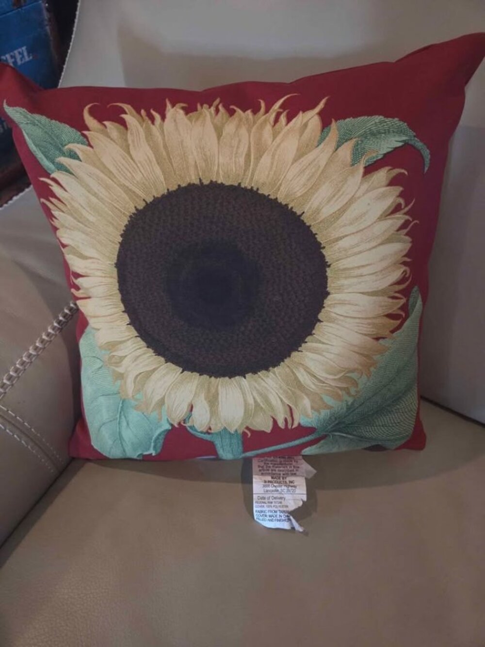 Hampton Bay outdoor throw pillow